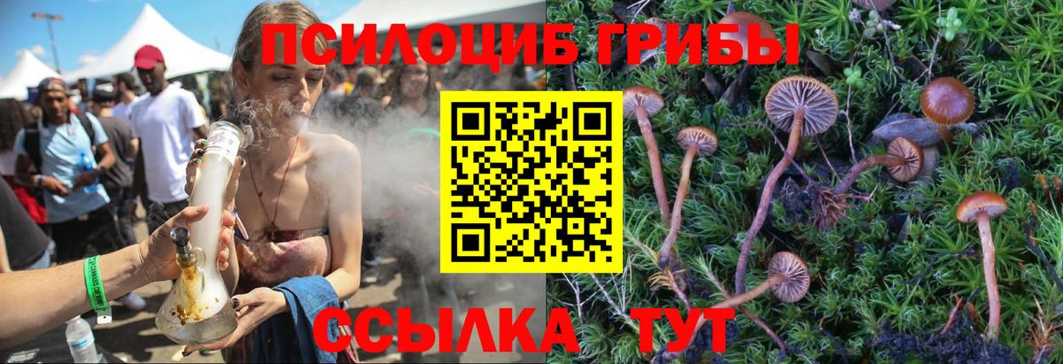 Красноармейск  Галлюциногенные грибы Cubensis  где продают   Вход с VPN  Галлюциногенные грибы MAGIC MUSHROOMS 